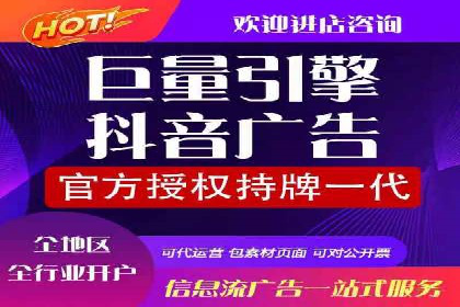 搜索引擎营销（SEM）的创意与执行——以多个行业成功案例为教学